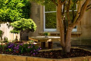 Photo 12- click for photo gallery